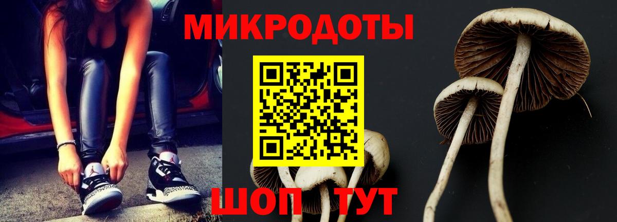 Галлюциногенные грибы MAGIC MUSHROOMS  Вход с VPN  купить закладку  Иваново 